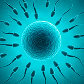 Congelación de Semen
