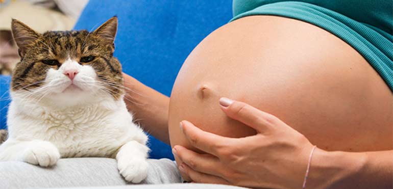 La toxoplasmosis en el embarazo