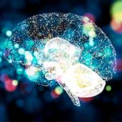 Consulta Especialista de Neurocirugía