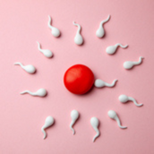 Fecundación in Vitro (FIV) con Semen de Donante 